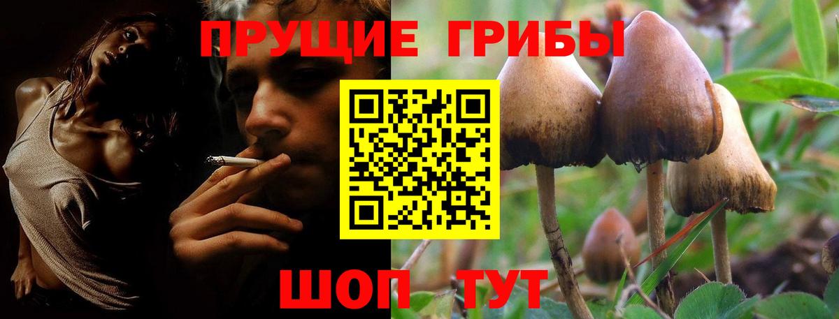 Джанкой  Псилоцибиновые грибы Magic Shrooms  Вход с VPN  как найти закладки  Галлюциногенные грибы Psilocybine cubensis 